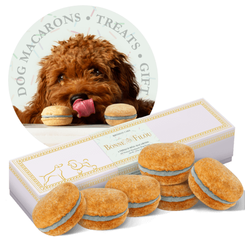 Dog Macarons - Box of 6