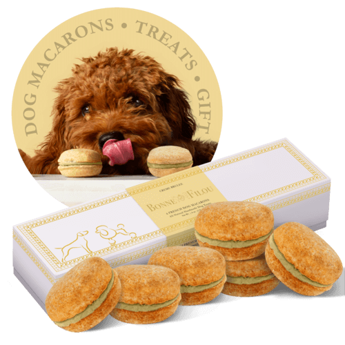 Dog Macarons - Box of 6