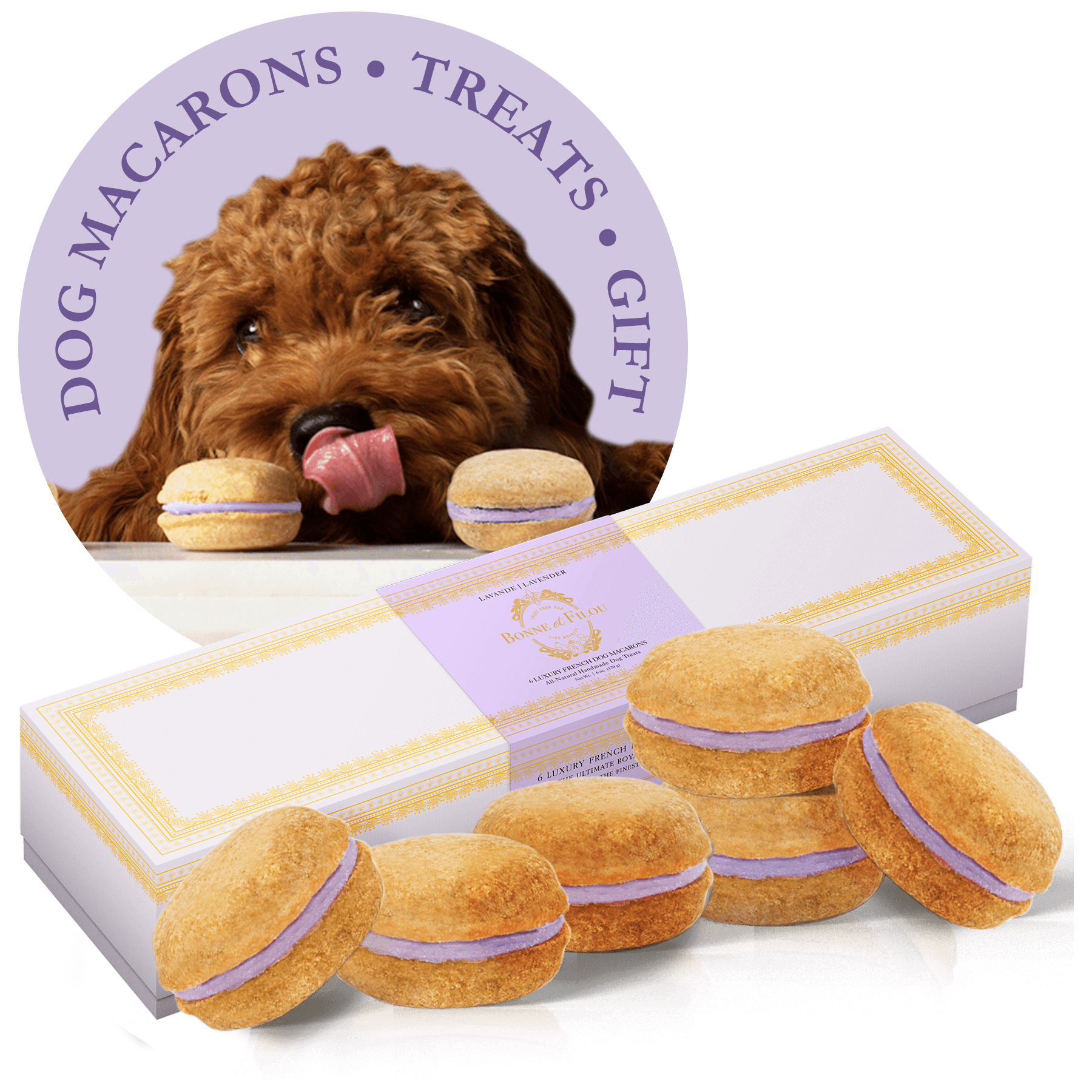 Dog Macarons - Box of 6