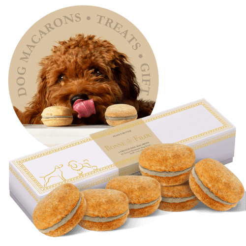 Dog Macarons - Box of 6