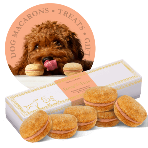 Dog Macarons - Box of 6