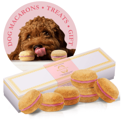 Dog Macarons - Box of 6