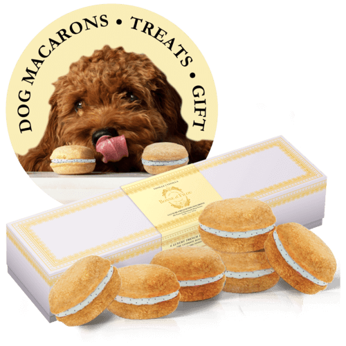 Dog Macarons - Box of 6