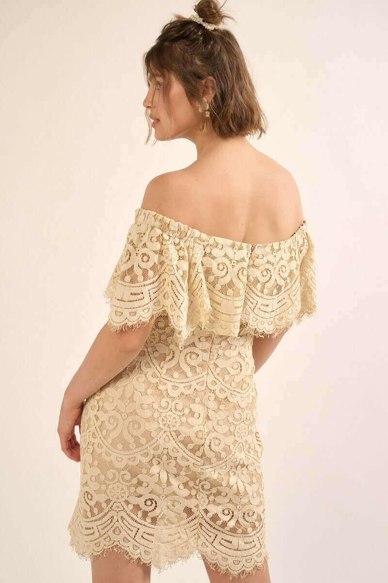 A Lace, Woven Mini Dress