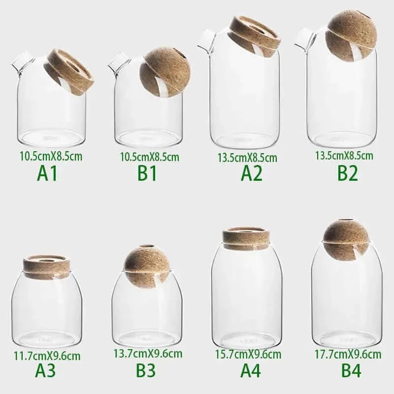 Simple glass vase transparent hydroponic plant flower apparatus modern