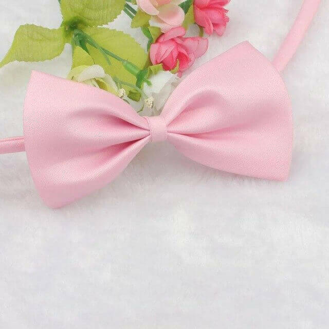 MUQGEW Lovely Pets hot selling Fashion Cute Dog