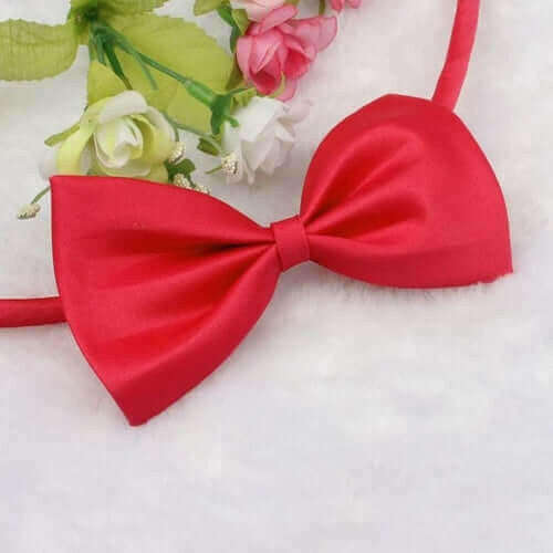 MUQGEW Lovely Pets hot selling Fashion Cute Dog