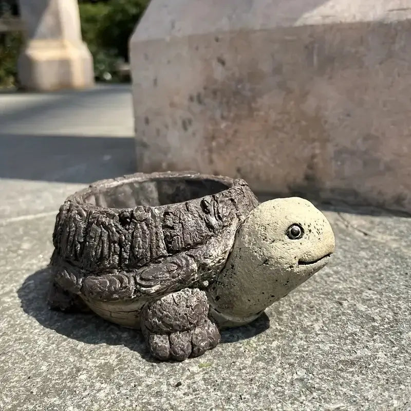 turtle succulent flower pot