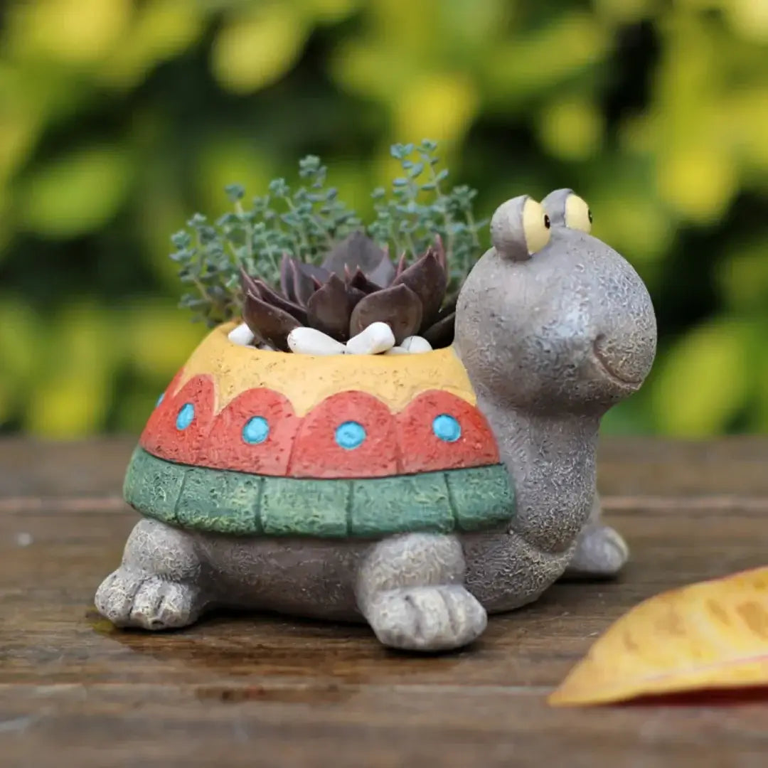 turtle succulent flowerpot