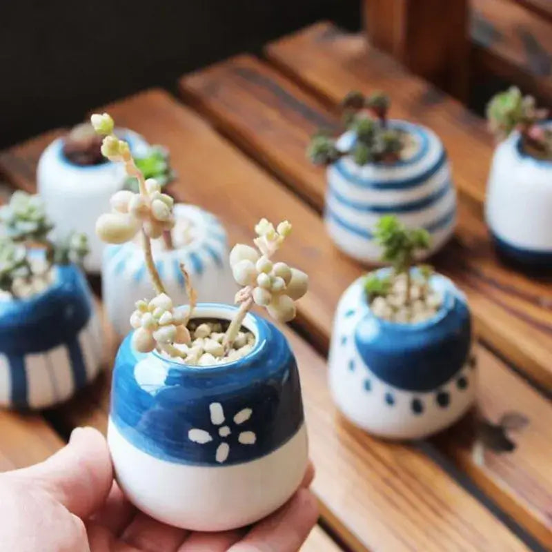 Japanese style succulent planter