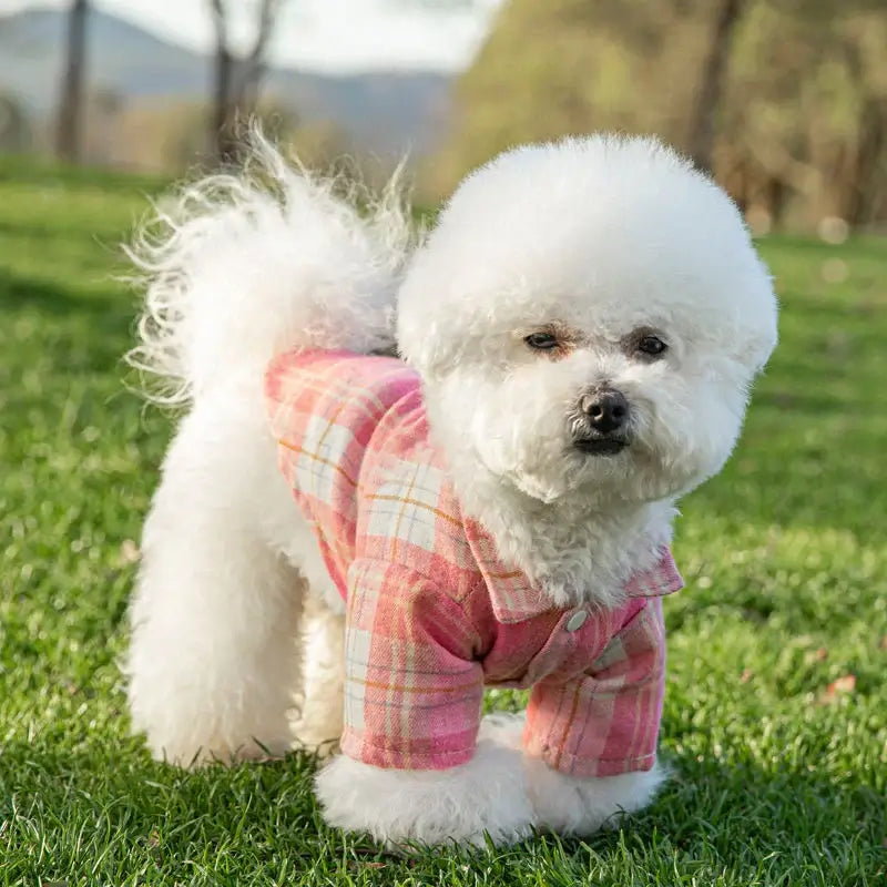 Stylish Summer Pet Shirt for Small Dogs