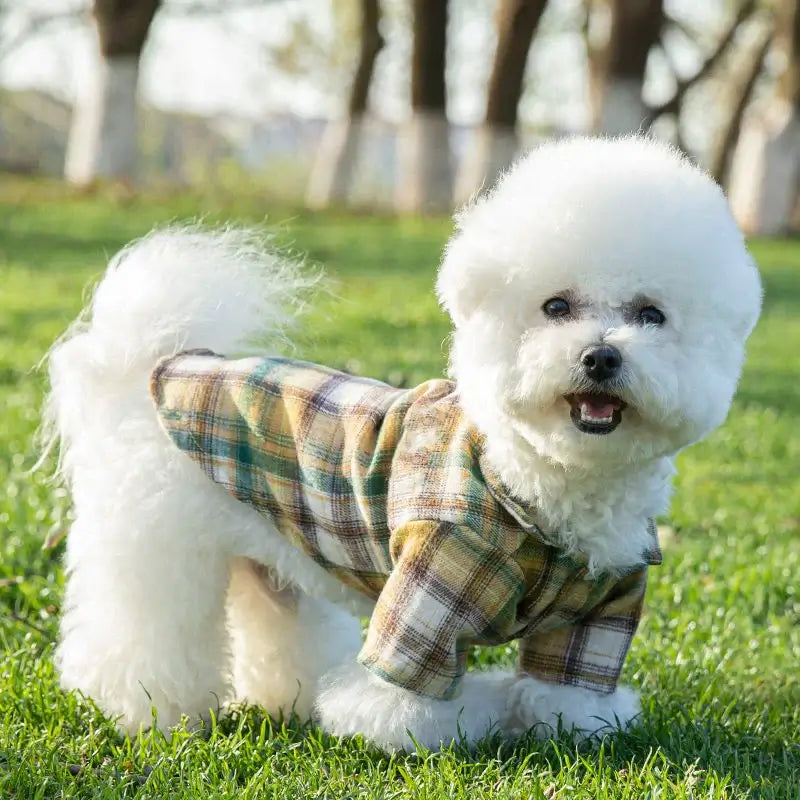 Stylish Summer Pet Shirt for Small Dogs