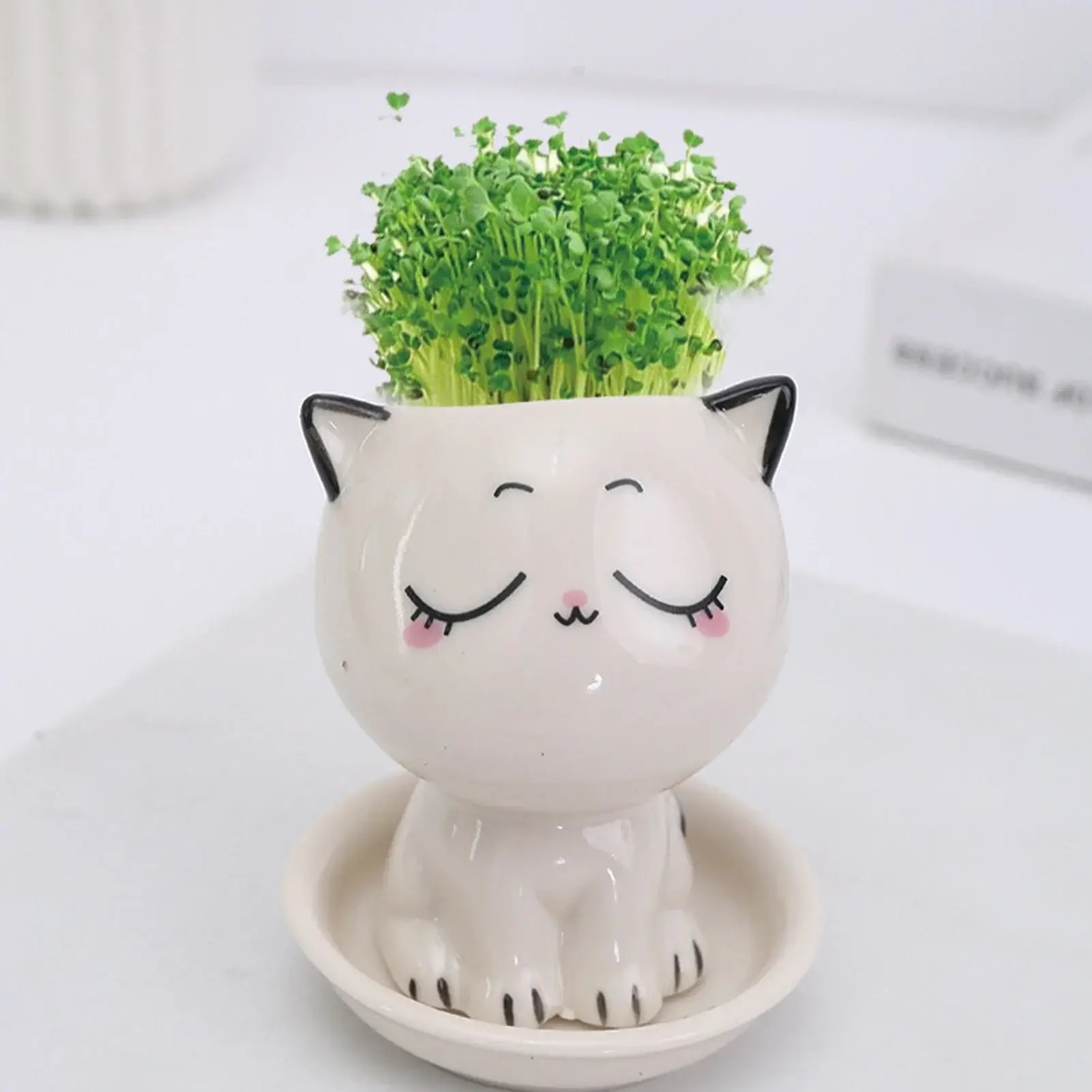 cat shaped succulent pot