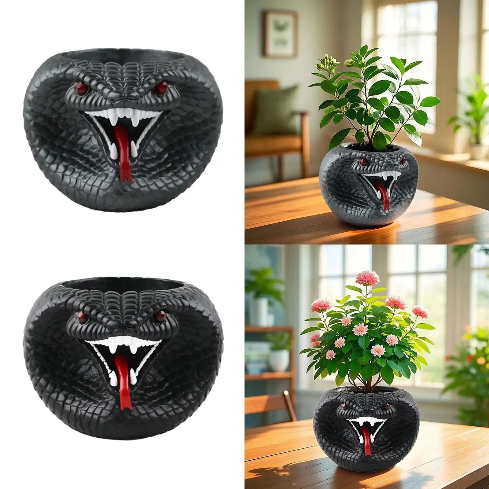 resin succulent planter