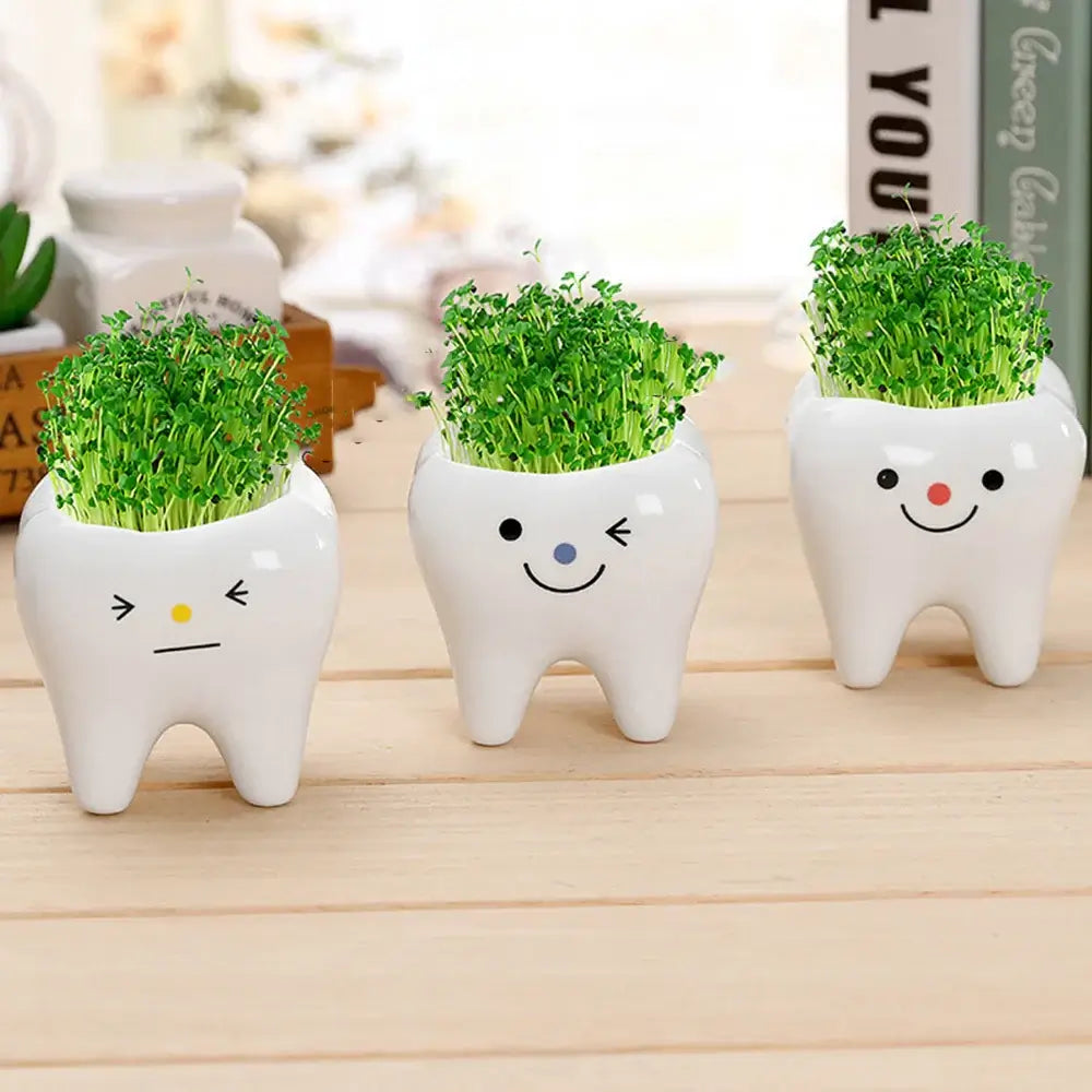 cute tooth flowerpots