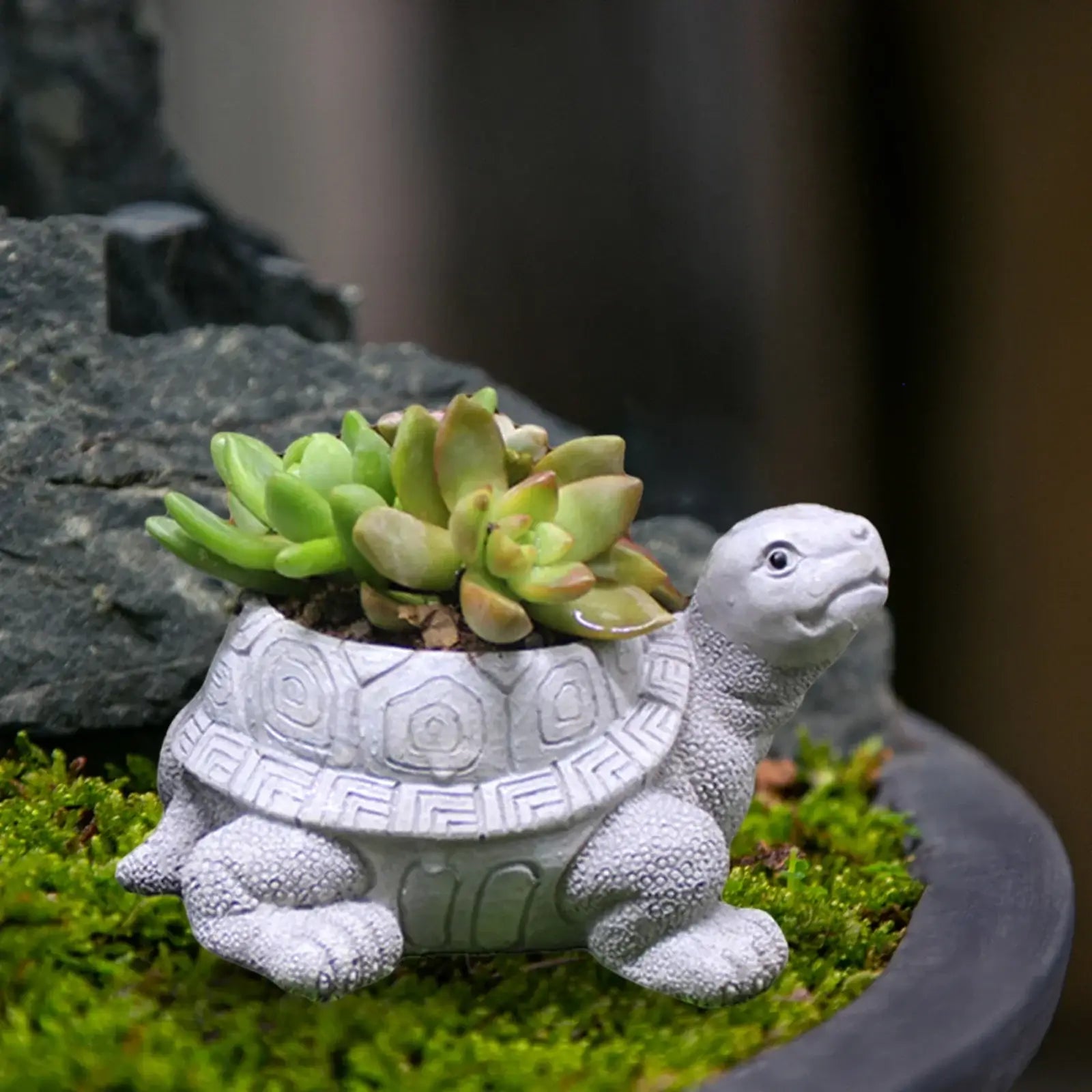 turtle planter pot