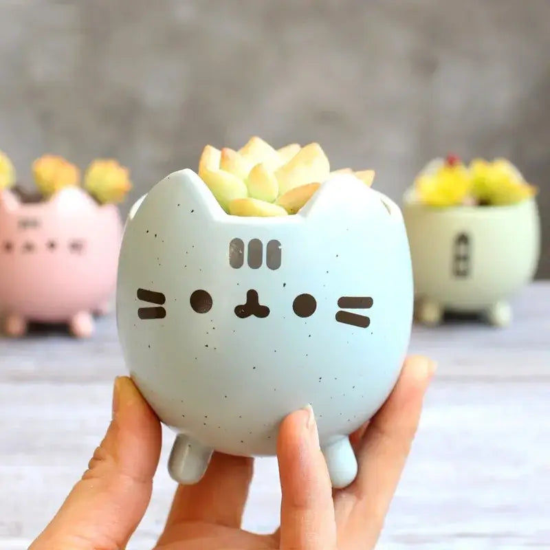 cute cat succulent pot