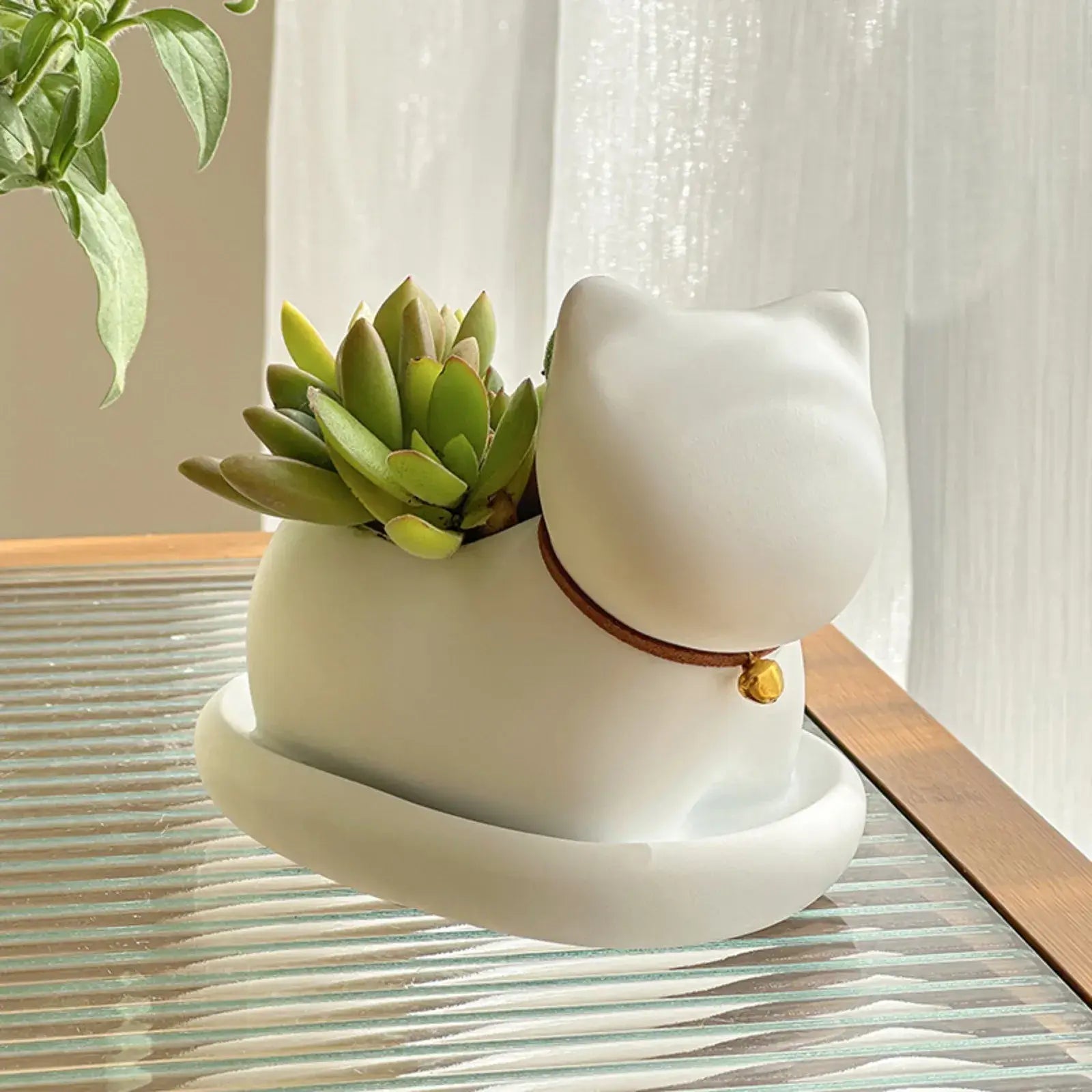 cute cat succulent plant pots