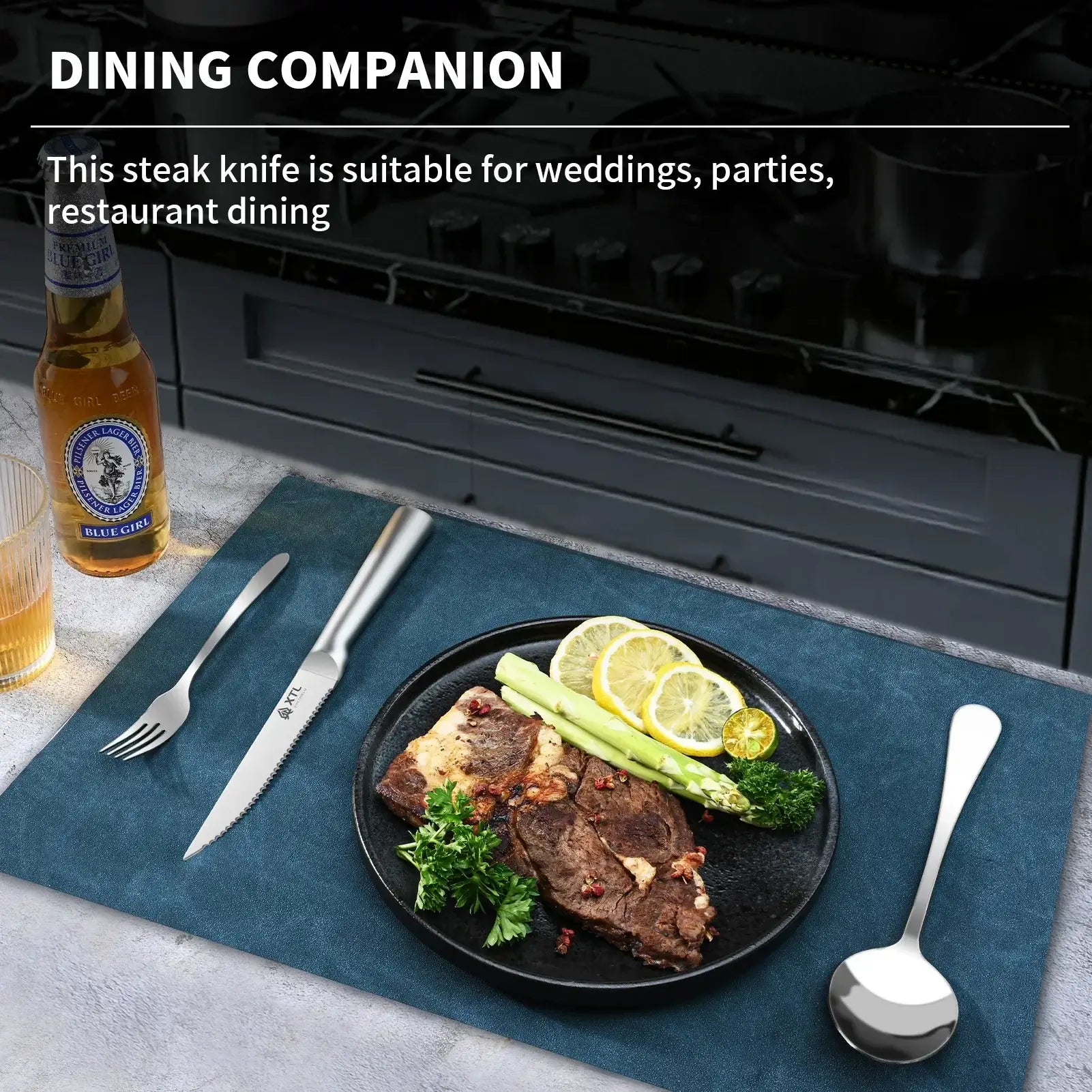 Premium 4/6/8 Pcs Stainless Steel Steak Knife Set