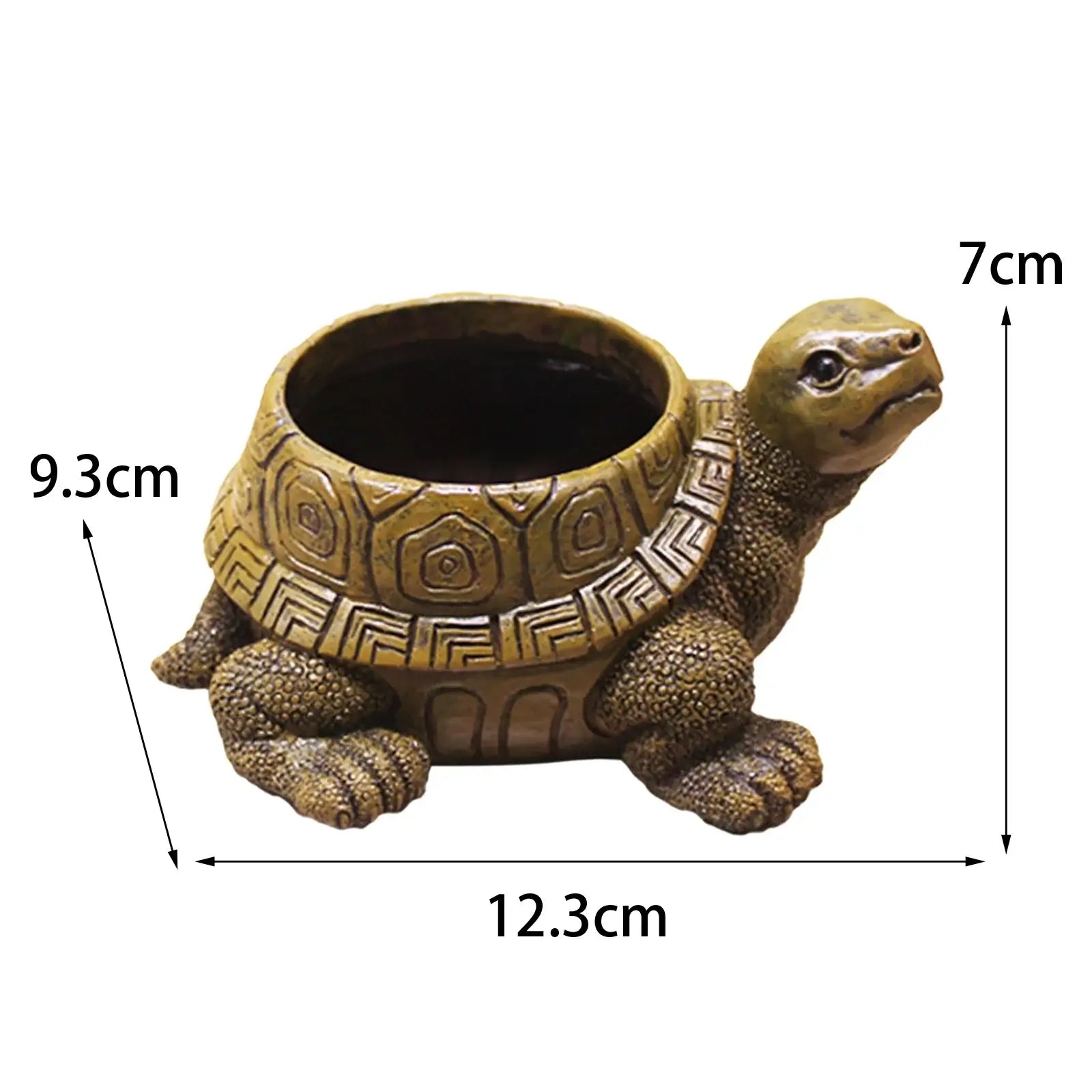 turtle planter pot