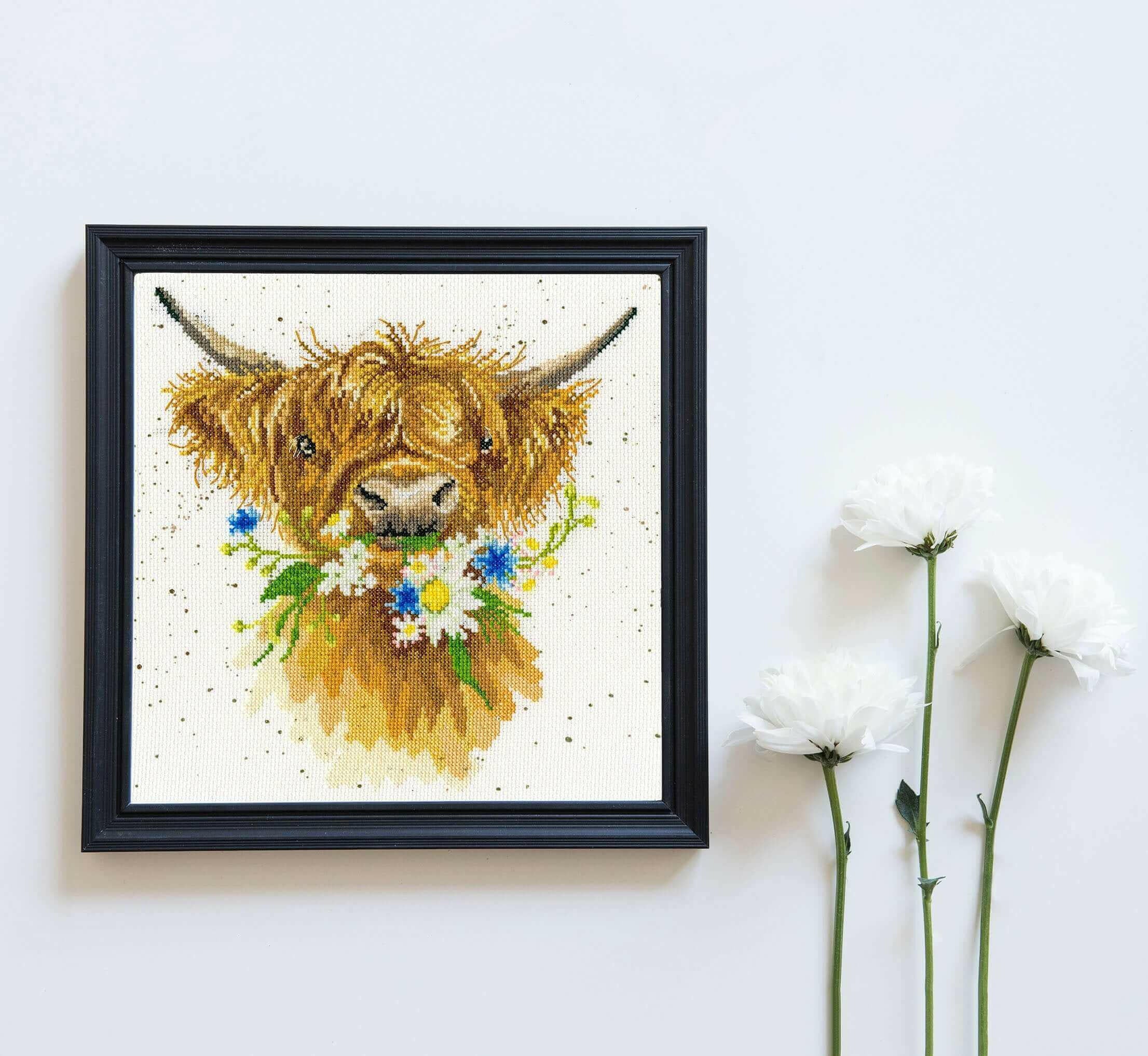 Daisy Coo XHD42 Counted Cross Stitch Kit