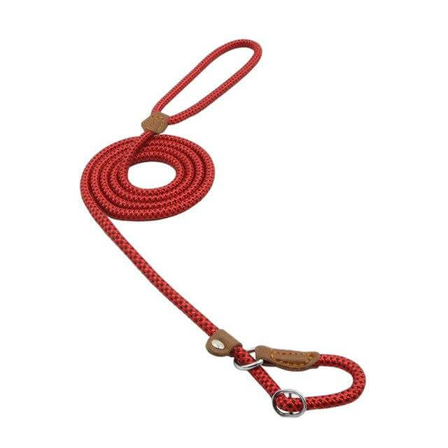 Adjustable Nylon & PU Leather Dog Collar and Leash Set