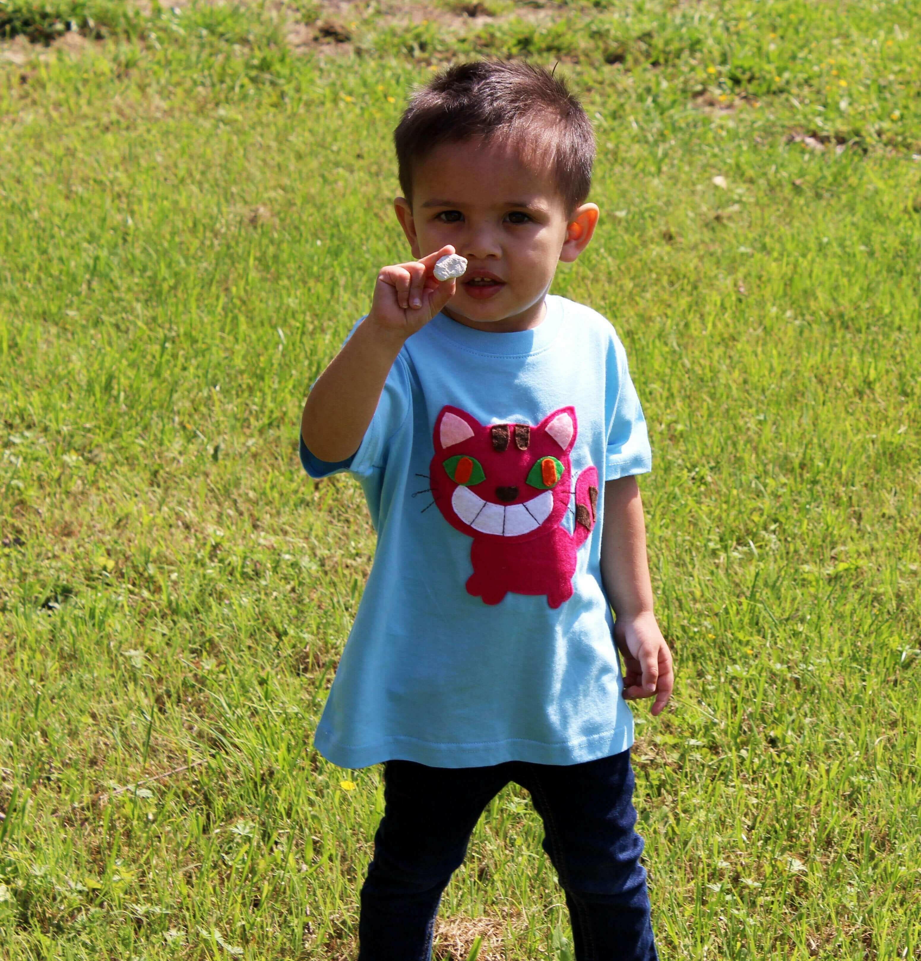 The Cheshire Cat - Alice&