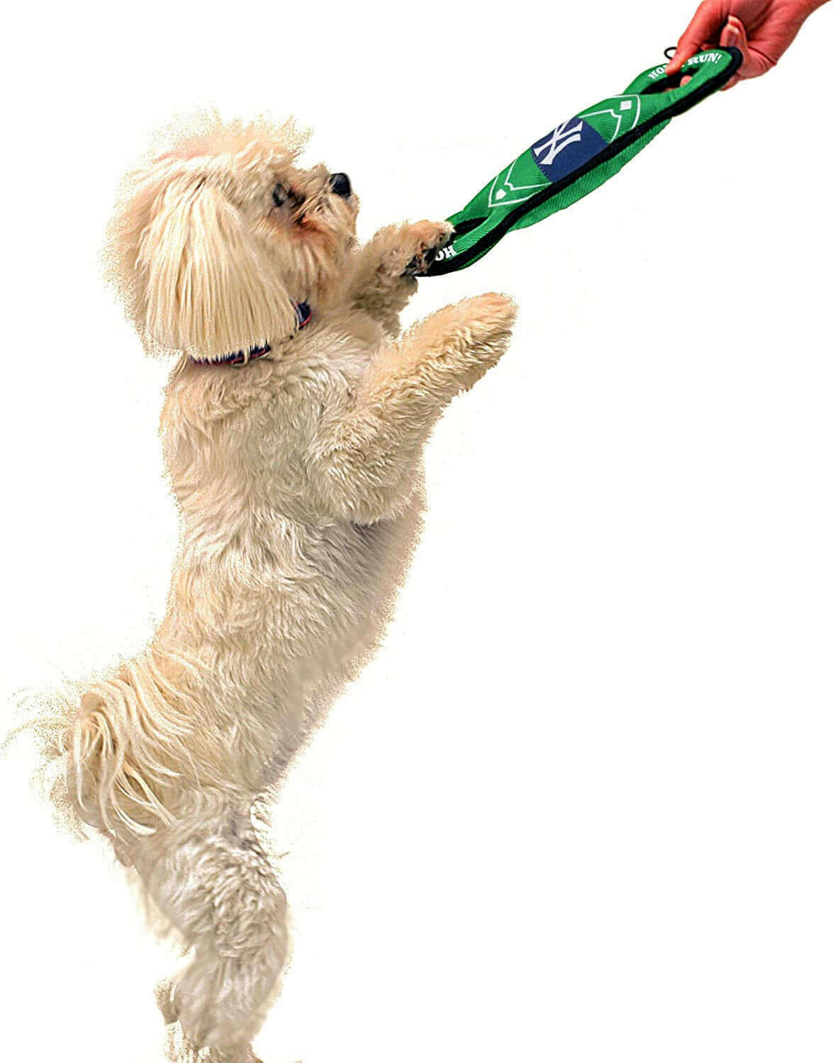 MLB NEW YORK YANKEES Baseball Field Dog Toy with Double Rim Stitching &amp; Inner SQUEAKER