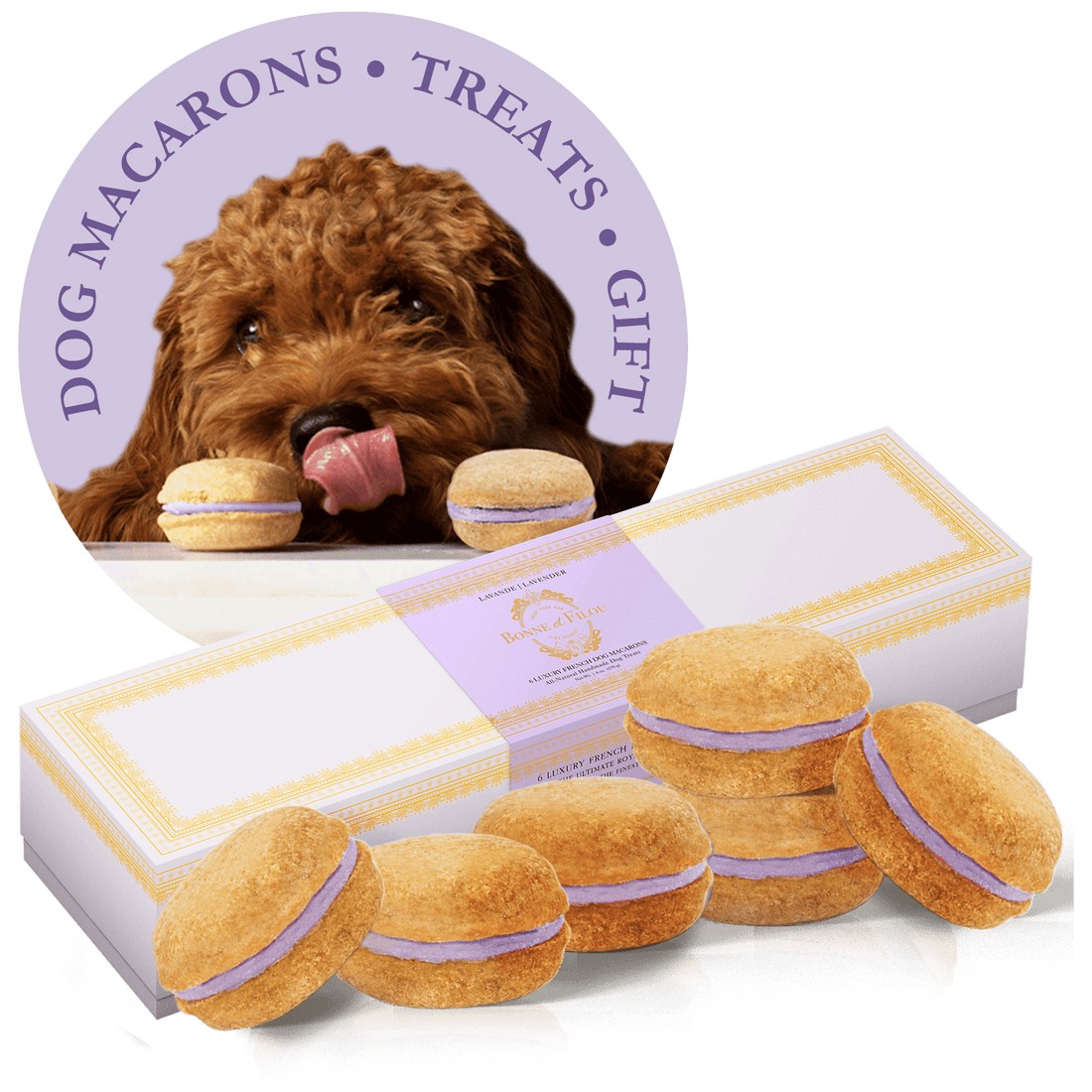 Dog Macarons - Box of 6