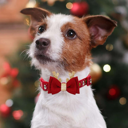 azuza Christmas Snowman Dog Collar with Removable Antler Bowtie
