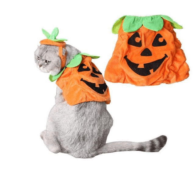 Halloween Pet Cats Costume Props Creative Pumpkin.