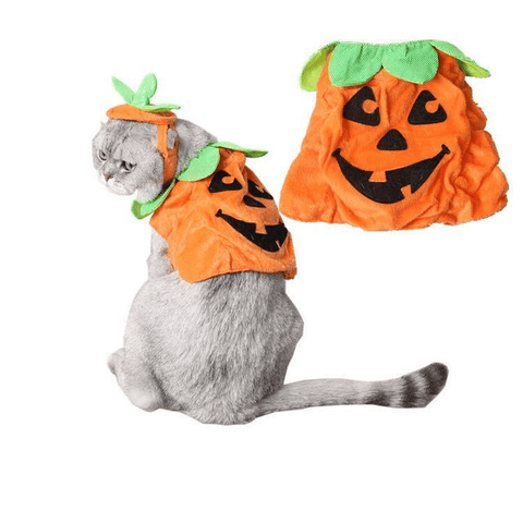 Halloween Pet Cats Costume Props Creative Pumpkin.