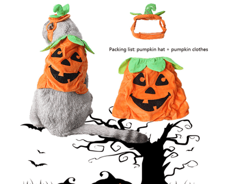 Halloween Pet Cats Costume Props Creative Pumpkin.