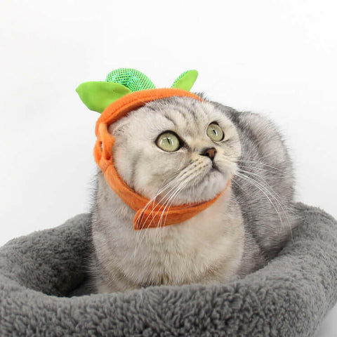 Halloween Pet Cats Costume Props Creative Pumpkin.