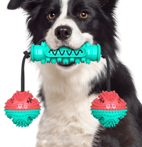 Dog Chew Toys Pet Toothbrush Rubber Bones Teeth Cleaning.