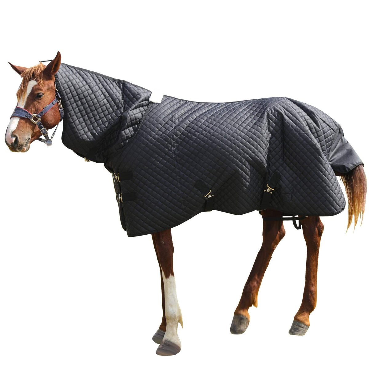 HOMBYS 75-Inch Combo-Neck Waterproof Horse Blanket - Black