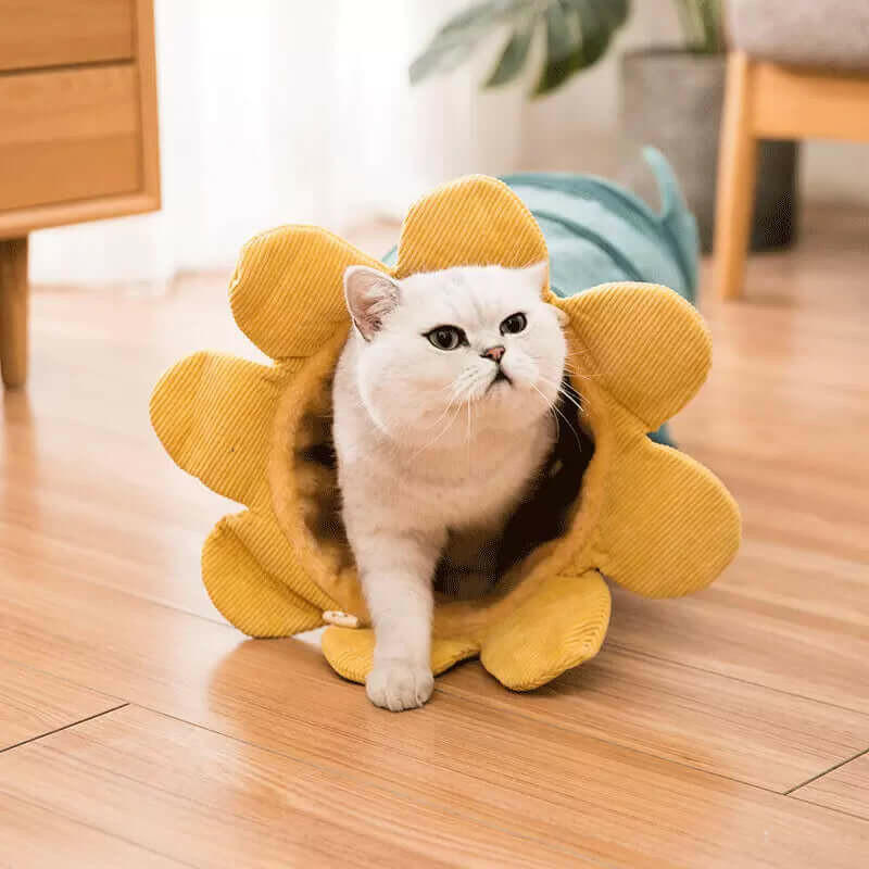 Creative Fruit Funny Pet Cat Tunnel Toys.