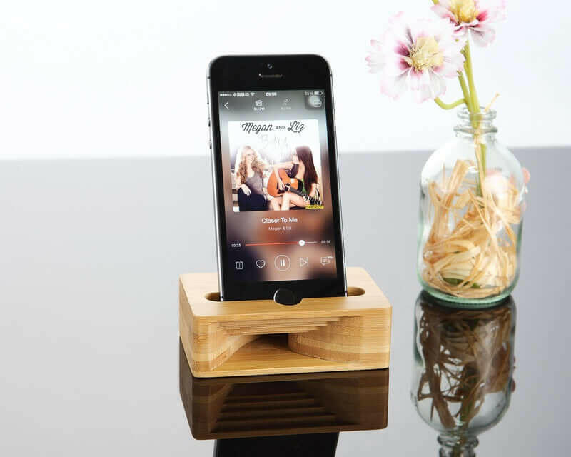 Bamboo iPhone Speaker Dock.