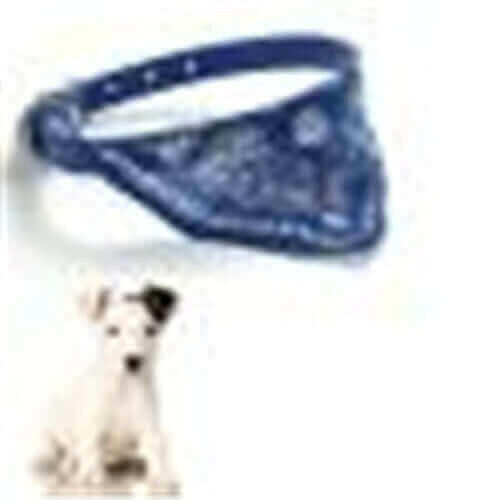 1PC small puppy pet collar with scarf Cut Dog Cat.