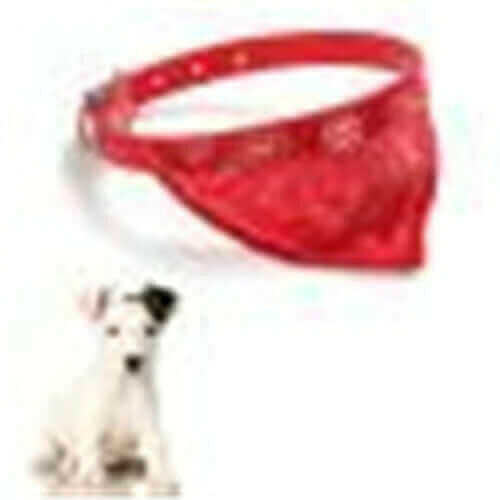 1PC small puppy pet collar with scarf Cut Dog Cat.