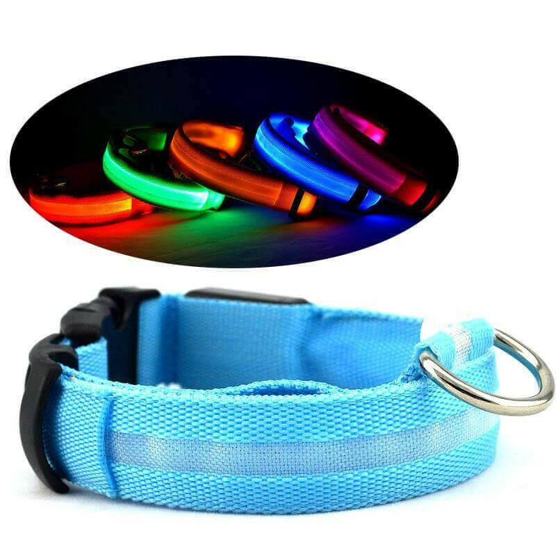 LED PET Safety Halo Style Collar.