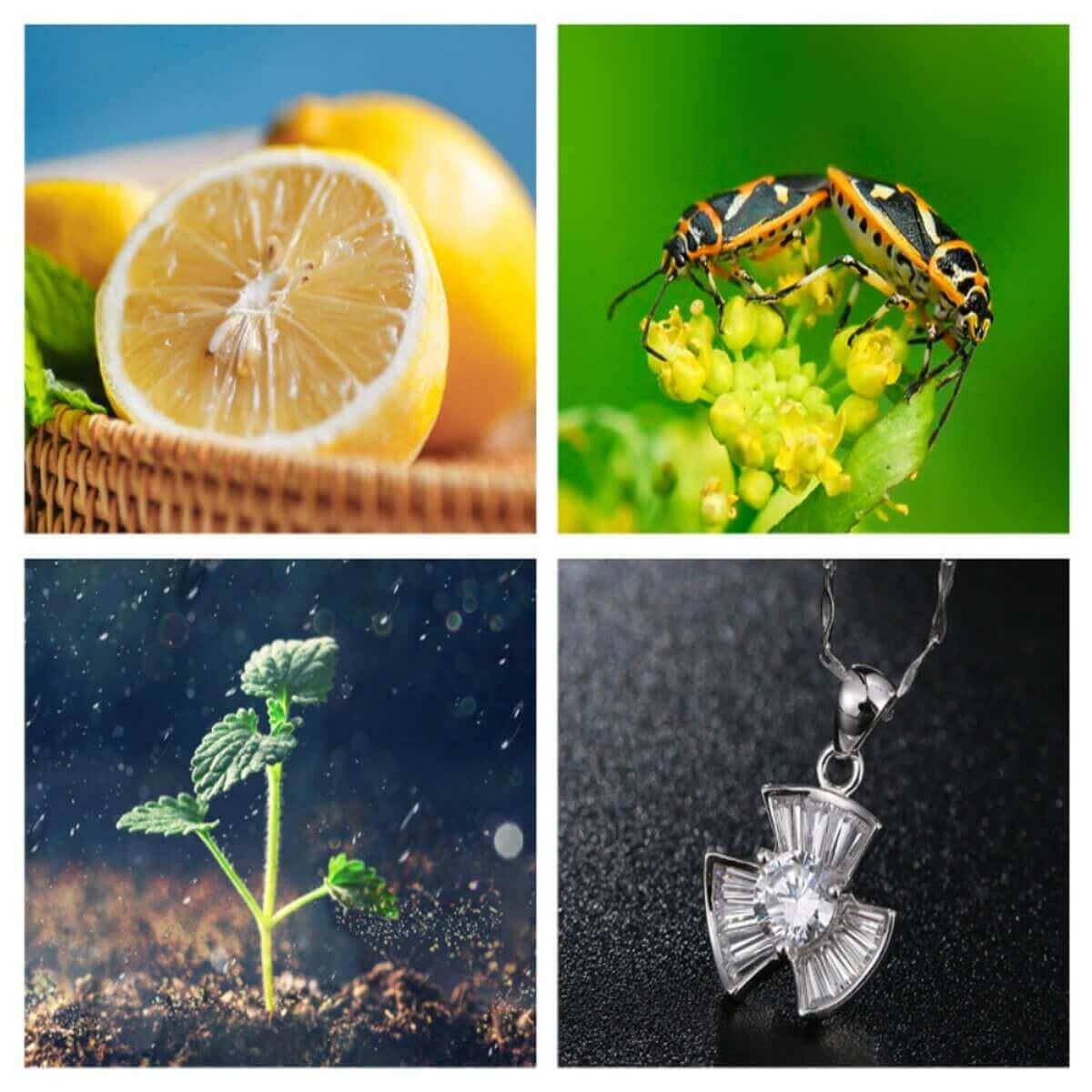 12 in 1 4K Photography Bundle