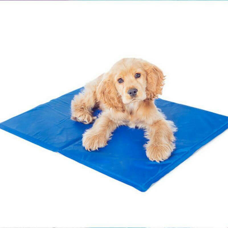 Pet Cooling Mats.