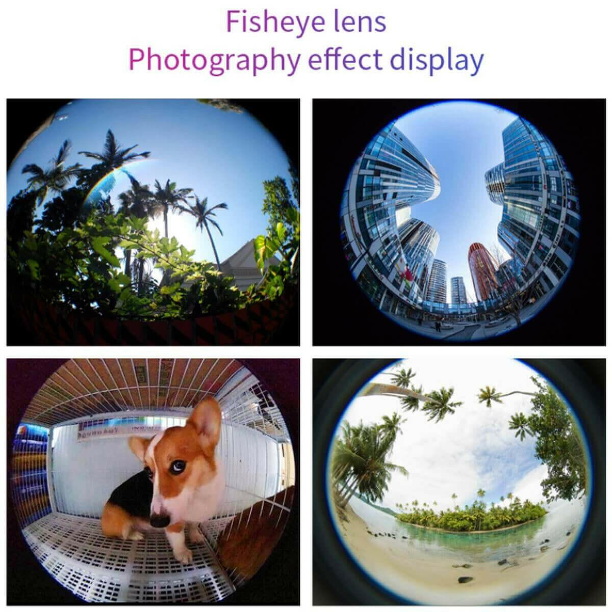 12 in 1 4K Photography Bundle