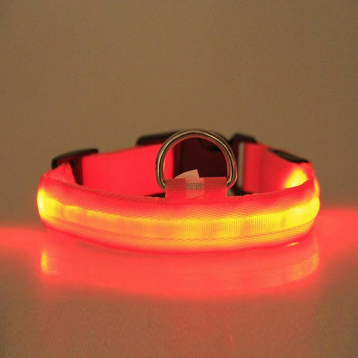 LED PET Safety Halo Style Collar.