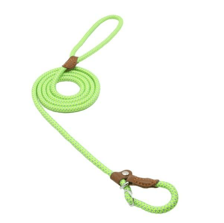 Adjustable Nylon &amp; PU Leather Dog Collar and Leash Set