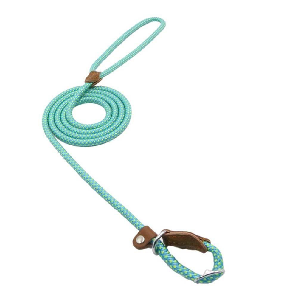 Adjustable Nylon &amp; PU Leather Dog Collar and Leash Set