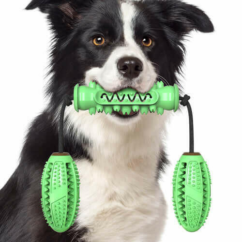 Dog Chew Toys Pet Toothbrush Rubber Bones Teeth Cleaning.