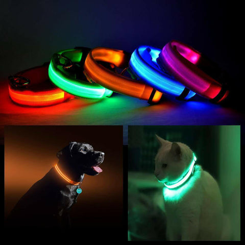 LED PET Safety Halo Style Collar.