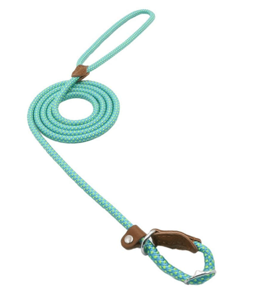 Adjustable Nylon &amp; PU Leather Dog Collar and Leash Set
